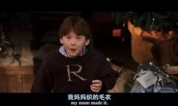 哈利爆料最新,娱乐圈背后的惊人真相