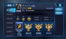 国服王者皮肤爆料最新,神秘英雄华丽登场，视觉盛宴即将开启！