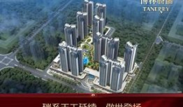 大亚湾丁先生最新爆料,揭秘事件背后惊人真相